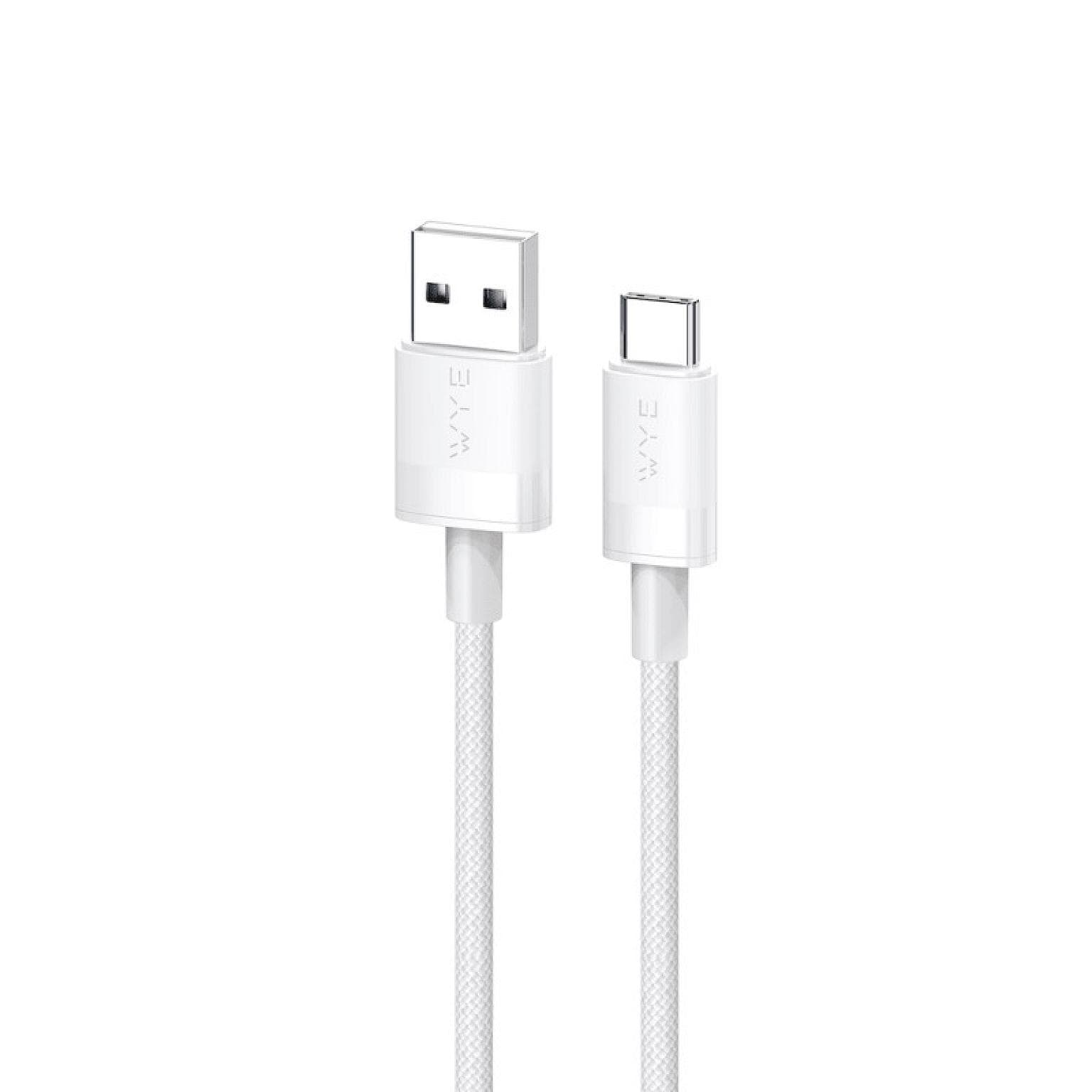 DC61 Braided Ultra Fast Charge/Sync Cable